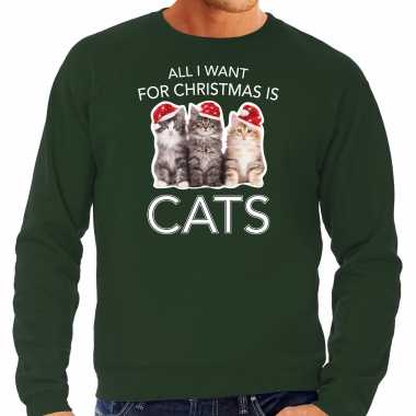 Kitten kersttrui / outfit all i want for christmas is cats groen heren